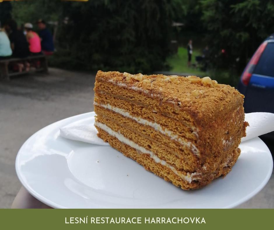 Hotel Lesni Restaurace Harrachovka à Tábor Extérieur photo