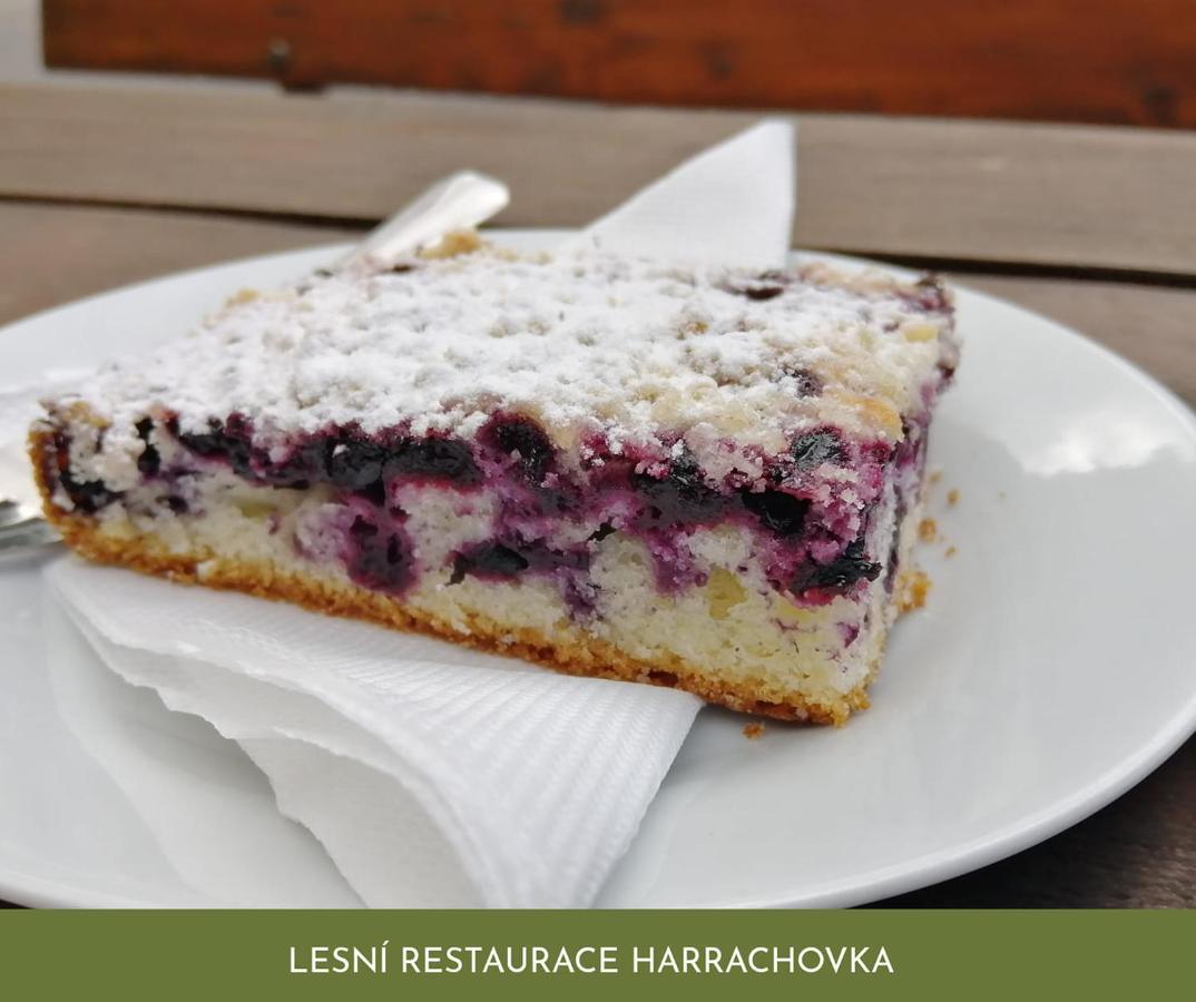 Hotel Lesni Restaurace Harrachovka à Tábor Extérieur photo